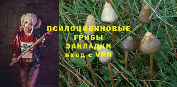 ECSTASY Богданович