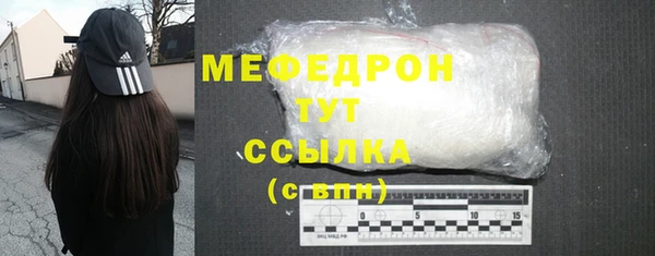ECSTASY Богданович