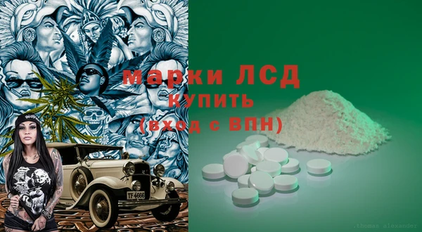 ECSTASY Богданович