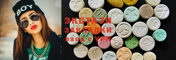 ECSTASY Богданович