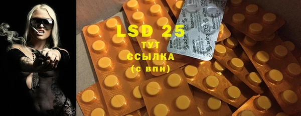 ECSTASY Богданович