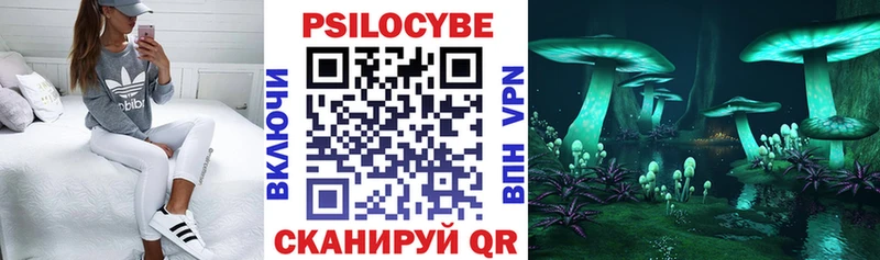 Галлюциногенные грибы Psilocybine cubensis  это Telegram  Мезень 